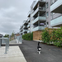 Apartament Rosenholm